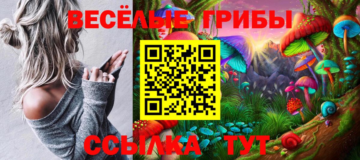 Псилоцибиновые грибы прущие грибы  Вход с VPN  Псилоцибиновые грибы Psilocybe  Орехово-Зуево 